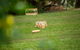 The Lake House - thumb 3