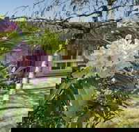 Wentworth Rose - Accommodation Tasmania