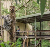 Springwood Meditation Vacation Center - Accommodation Tasmania