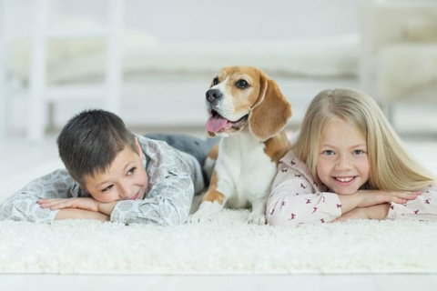 BOUTIQUE STAYS - Sandy Breeze 3 - Accommodation Tasmania 2