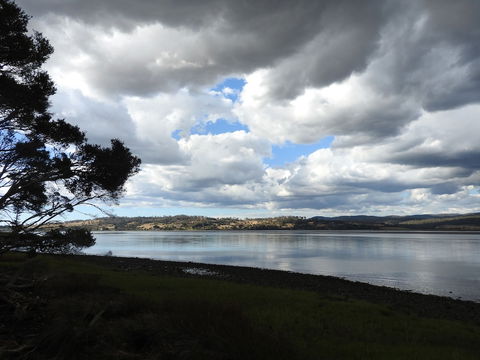 Tamar House - Accommodation Tasmania 4