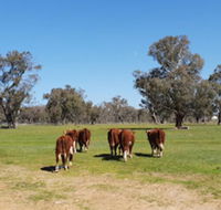 Jindera Park - Accommodation Tasmania