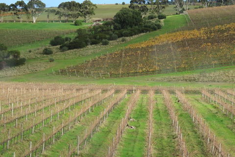 Hotel California Road Inkwell Wines - Accommodation Tasmania 4