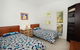 3 Bauhinia Crescent Marcoola PET FRIENDLY LINEN SUPPLIED 500 BOND - thumb 4
