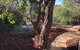 The Anglesea Beach House ADVENTURE RETREAT - thumb 7