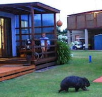 BIG4 Kelso Sands Holiday Park - Accommodation Tasmania