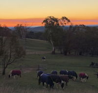 High Country Trail Rides  Farm Stay - Accommodation Tasmania