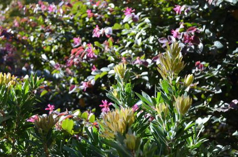 A Bach At Bright Bright VIC - Accommodation Tasmania 4