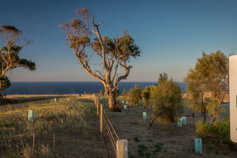Fleurieu Coastal Retreat Lot 150 Myponga Beach Road - Accommodation Tasmania 2