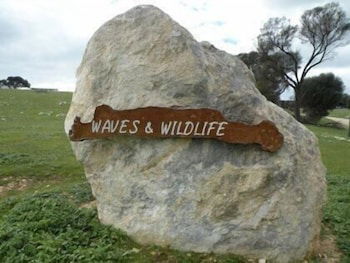 Waves And Wildlife - Accommodation Tasmania 3