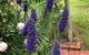 Barossa Barn Bed & Breakfast - thumb 2