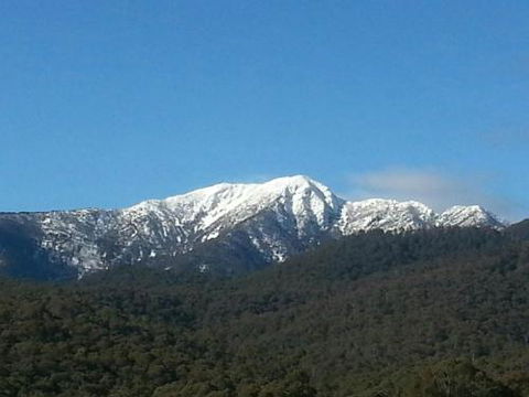 Alps Lodge - Accommodation Tasmania 4