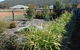 Lakeview - thumb 6
