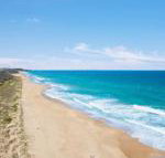 Jimmys Shout Pet Friendly - Accommodation Tasmania