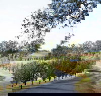 voco Kirkton Park Hunter Valley  an IHG Hotel - Accommodation Tasmania