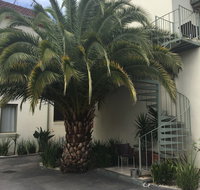 Brunswick Tower Hotel - Accommodation Tasmania
