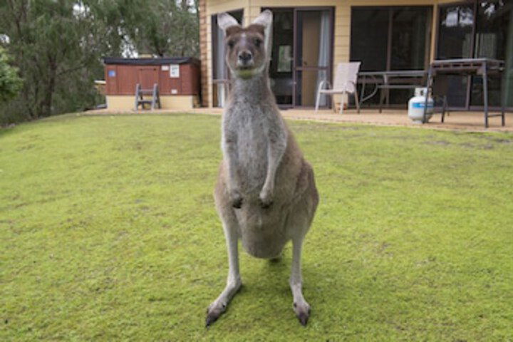 Metricup WA Accommodation Tasmania