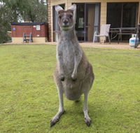Yelverton Brook Conservation Sanctuary - Accommodation Tasmania