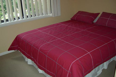 Busy Buzz B & B - Accommodation Tasmania 4