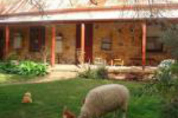  Accommodation Tasmania