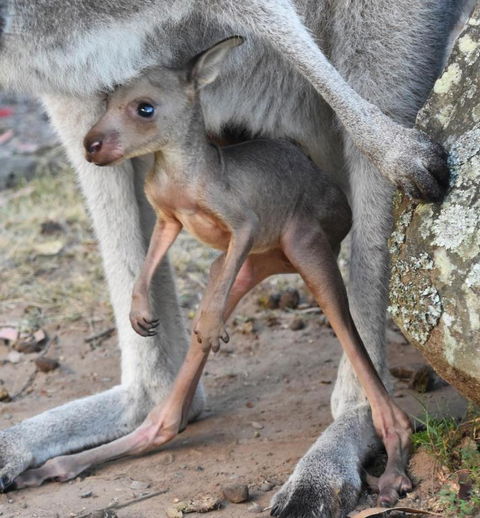 Valley View Luxury Retreat - Accommodation Tasmania 3