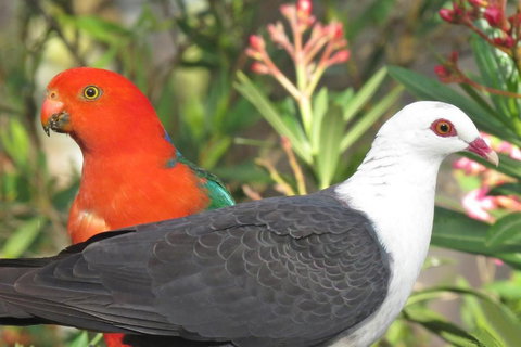 Valley View Luxury Retreat - Accommodation Tasmania 5