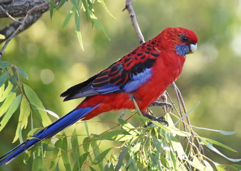 Valley View Luxury Retreat - Accommodation Tasmania 6