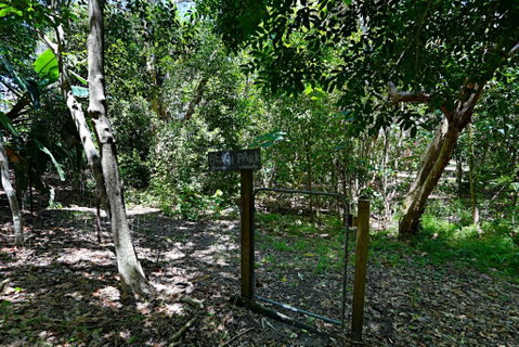 Barefoot Bungalow Castaways Beach - Accommodation Tasmania 6