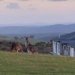 Rooks Edge - Accommodation Tasmania 0