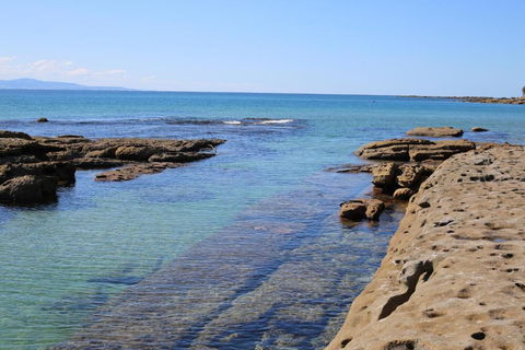 The Crescent Pet Friendly 1 Min To Beach - Accommodation Tasmania 1
