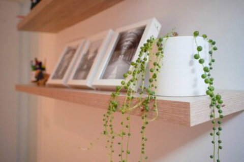 Trendy Modern 2BD Apartment Close To Beach & City - Accommodation Tasmania 0