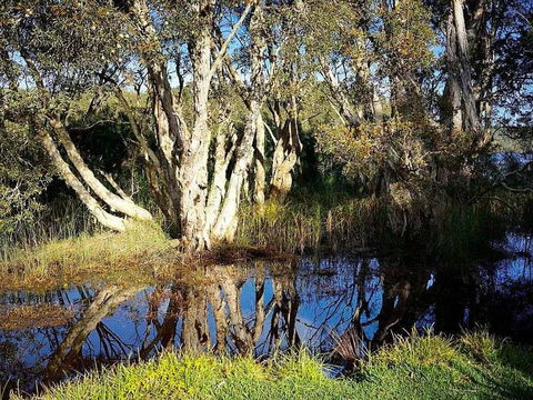 Wisteria Cottage On The Lagoon / Beach - Accommodation Tasmania 4