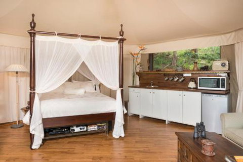 Clouds Safari - Accommodation Tasmania 4