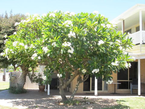 Kalbarri Riverfront Unit - Accommodation Tasmania 3