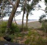 Canyon Cottage - Accommodation Tasmania