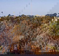 Luxury Skyrise 2bed2bath APT in Olympic Park - Accommodation Tasmania