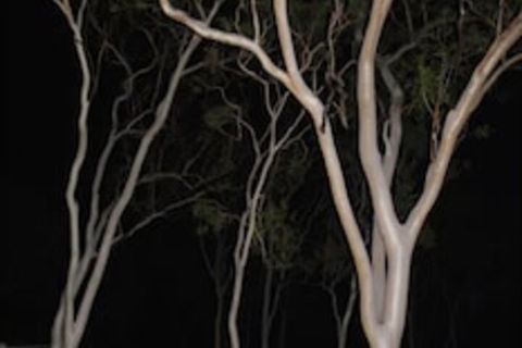Sunbird Motel - Accommodation Tasmania 4