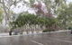 Sunbird Motel - thumb 2