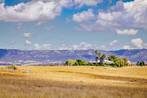 Strathearn Park Lodge - Accommodation Tasmania 3