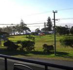 Dolphin Court 1 1 Gowing Street - Accommodation Tasmania