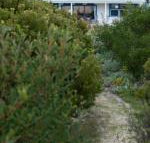 Polperro a quintessential seaside experience - Accommodation Tasmania