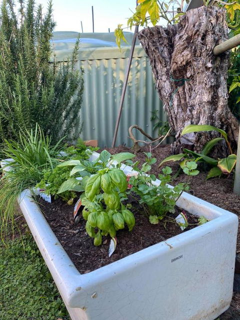 A Drop In The Ocean Kingscliff - Accommodation Tasmania 5