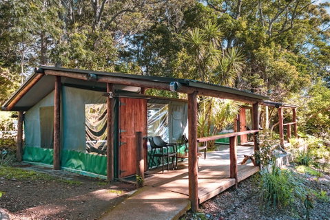 Binna Burra Rainforest Campsite - Accommodation Tasmania 3