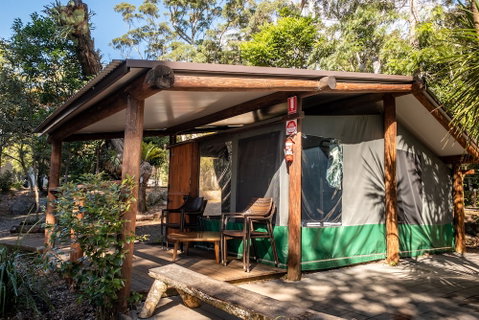 Binna Burra Rainforest Campsite - Accommodation Tasmania 5