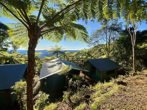 Binna Burra Rainforest Campsite - Accommodation Tasmania 0