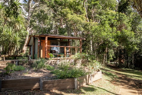 Binna Burra Rainforest Campsite - Accommodation Tasmania 1