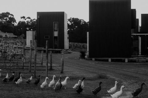 Barn Hives Yallingup - Accommodation Tasmania 1