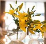 KUI Manhattan Apartments - Accommodation Tasmania
