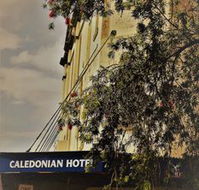 Caledonian Hotel - Accommodation Tasmania
