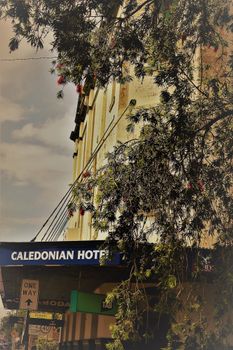 Caledonian Hotel - Accommodation Tasmania 0